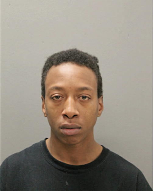 AARON J DISHMON, Cook County, Illinois