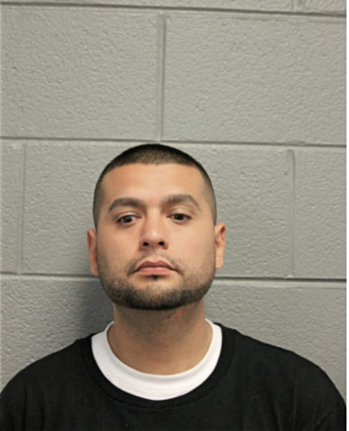 LUIS H GONZALEZ, Cook County, Illinois
