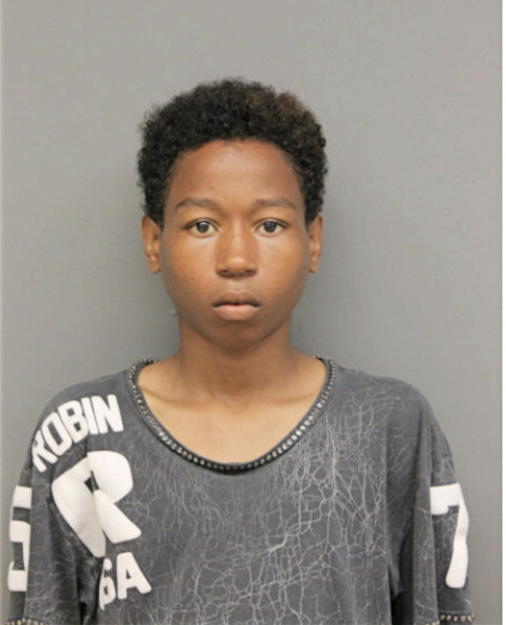 ANTON M HALL, Cook County, Illinois