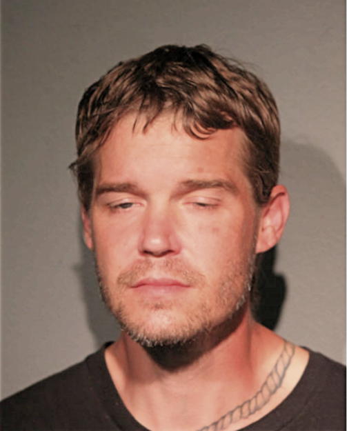 MARK G HENIFF, Cook County, Illinois