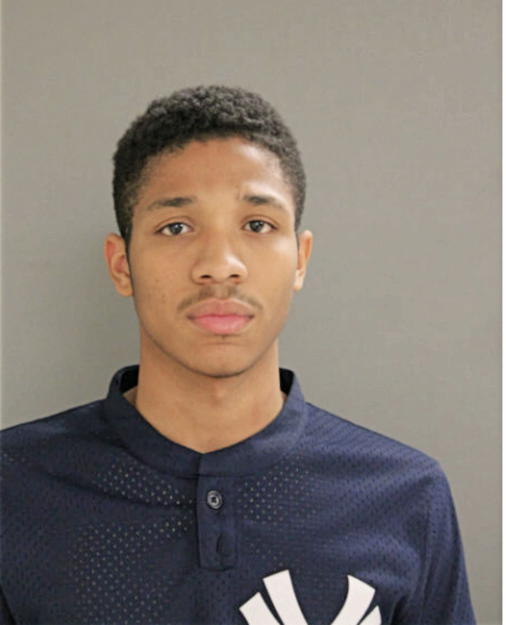 DEMETRIS M KING, Cook County, Illinois