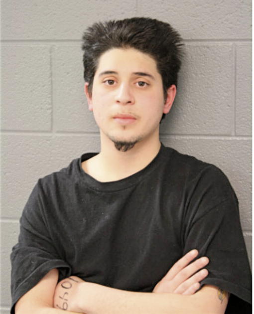 AMALIO LEON, Cook County, Illinois