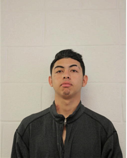 JOSE G MATUS, Cook County, Illinois