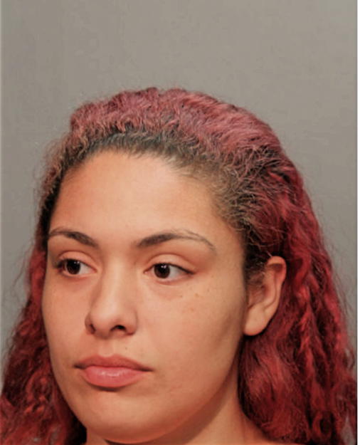 SHYANE MELENDEZ, Cook County, Illinois