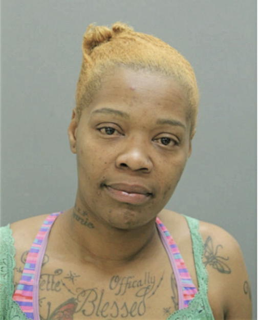 ERICA L NELLEM, Cook County, Illinois