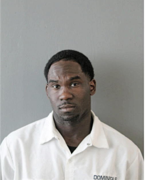 DOMINIQUE D NELSON, Cook County, Illinois