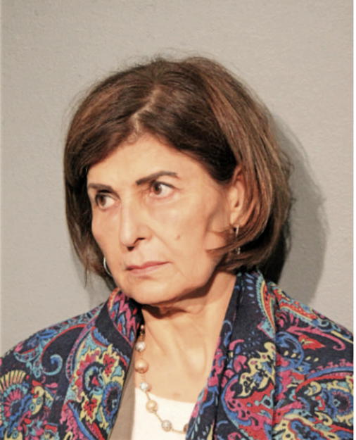 SUAD OBAID, Cook County, Illinois
