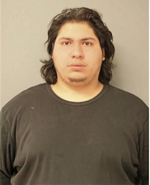 PAUL A PINA, Cook County, Illinois