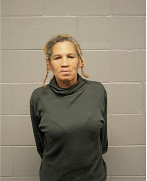 MARY J RODRIGUEZ, Cook County, Illinois