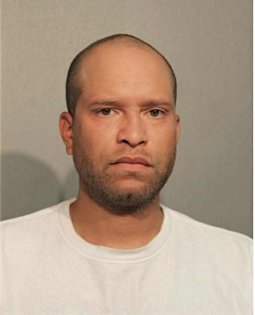 DANIEL J RYNNE, Cook County, Illinois