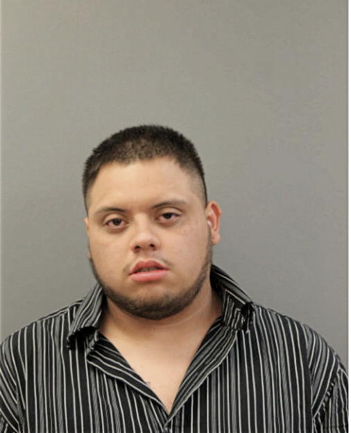 MICHAEL SALGADO, Cook County, Illinois