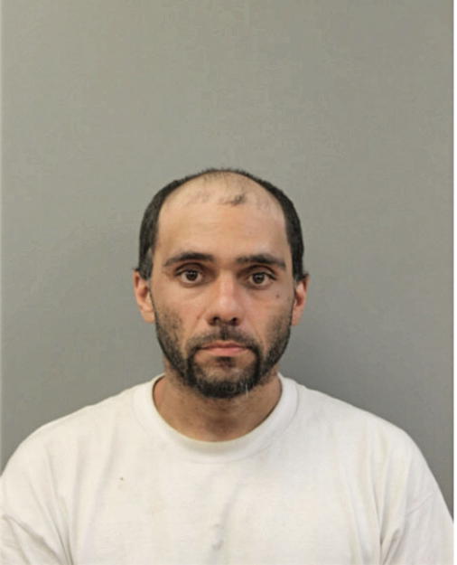 LUIS VEGA, Cook County, Illinois