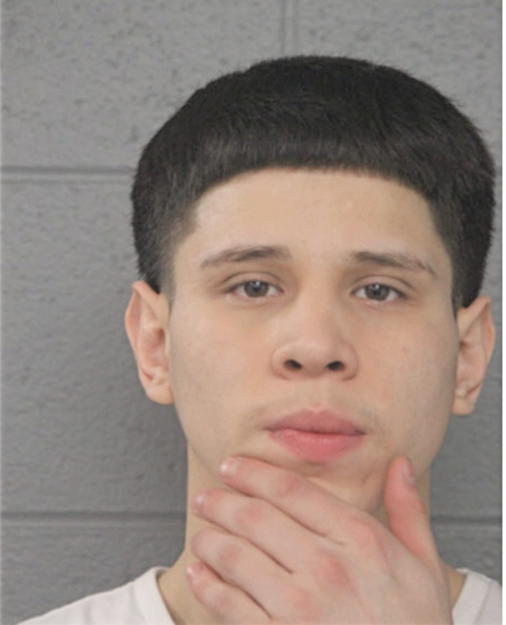 CHRISTIAN VELIZ, Cook County, Illinois