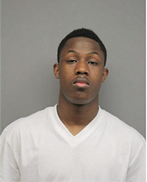 MATTHEW T WATKINS, Cook County, Illinois