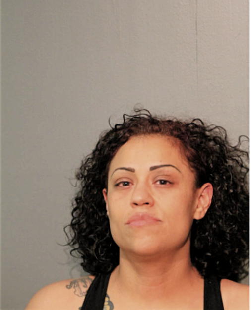 ANA LILIA ARIAS-ALCANTAR, Cook County, Illinois