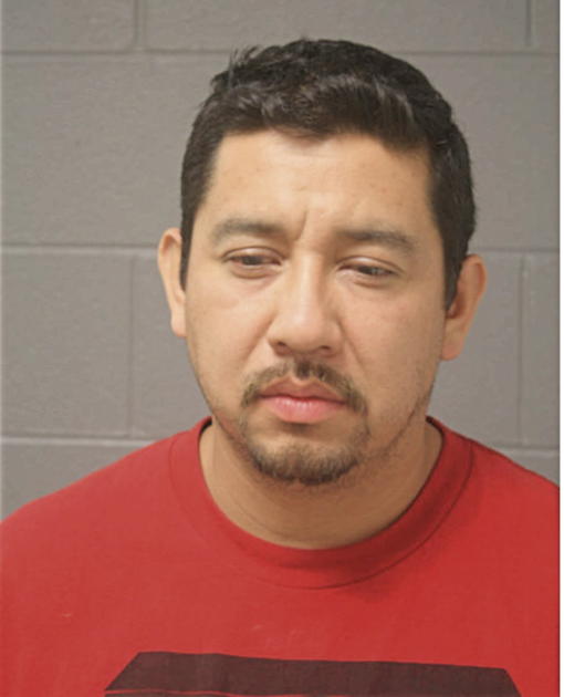 KRISTIAN FERNANDO AVILA, Cook County, Illinois