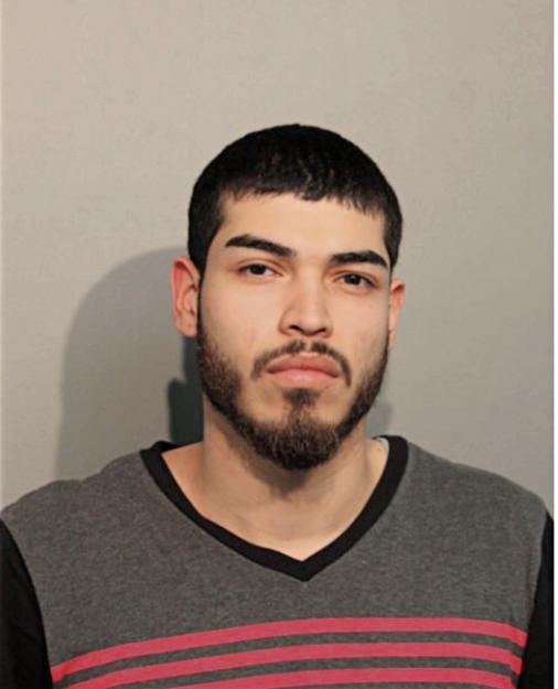 LUIS G AVILA, Cook County, Illinois