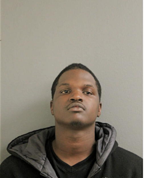 CARL E BROWN, Cook County, Illinois