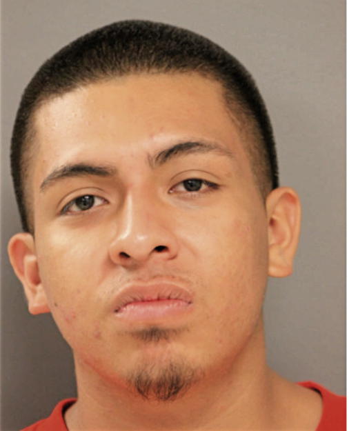 ERWIGN DELGADO, Cook County, Illinois