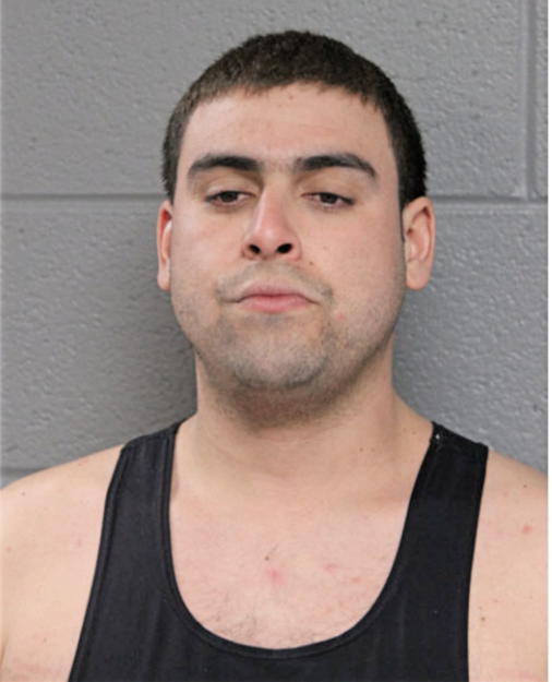 RICARDO TORRES GONZALES, Cook County, Illinois