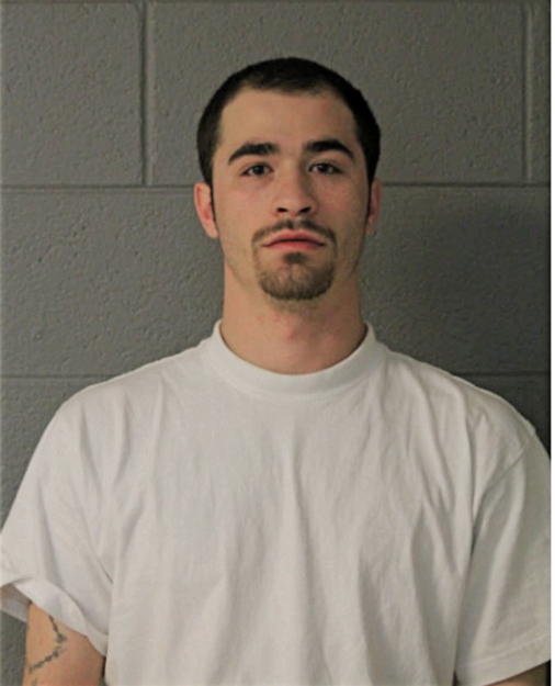ANTHONY N GRASSO, Cook County, Illinois