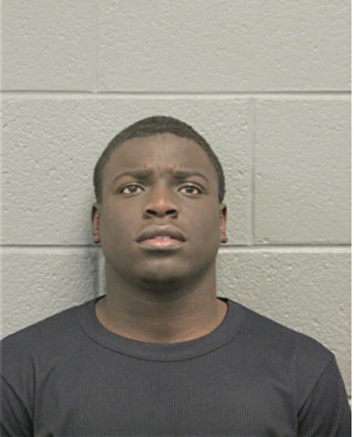 TERRELL M HILLIE, Cook County, Illinois