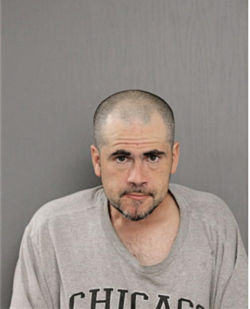 GREGORY L LIDDELL, Cook County, Illinois