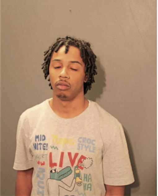 JOSHUA D MARTIN, Cook County, Illinois