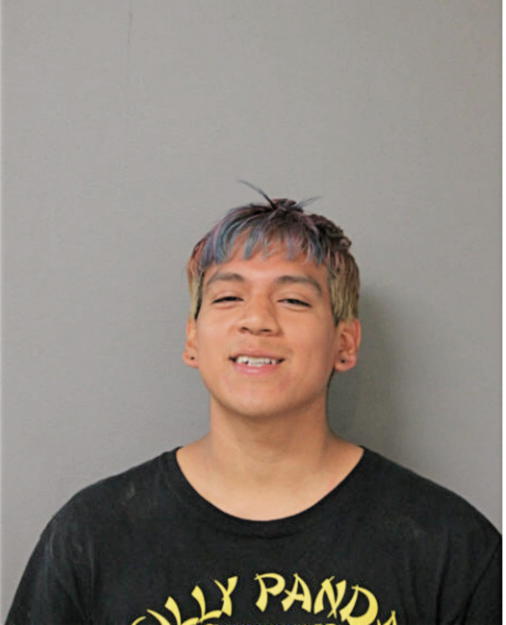EDWIN D MARTINEZ, Cook County, Illinois