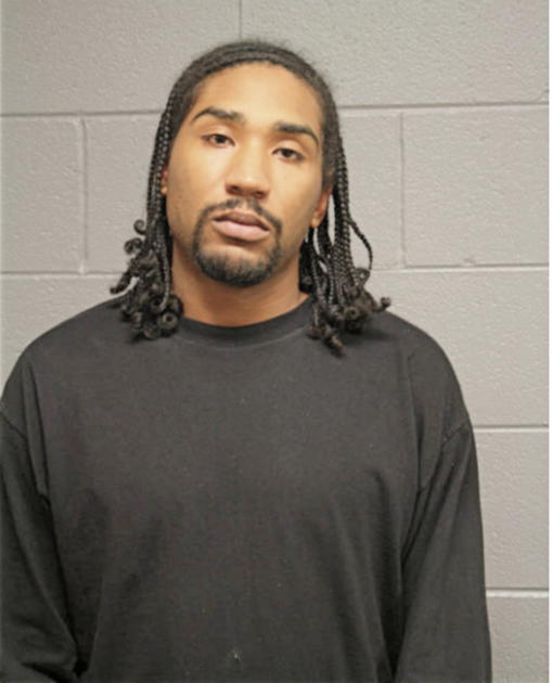 NICHOLAS A MDDLETON, Cook County, Illinois
