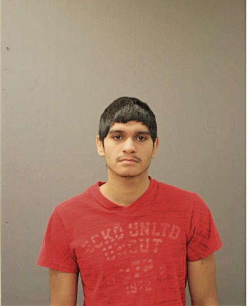 ALEJANDRO MORENO, Cook County, Illinois