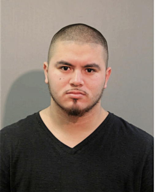 RODRIGO NAVA, Cook County, Illinois