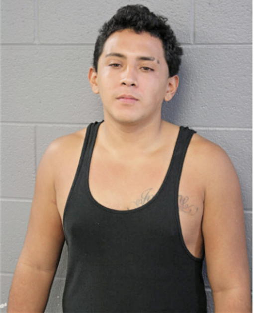 ANTONIO ORTEGA, Cook County, Illinois
