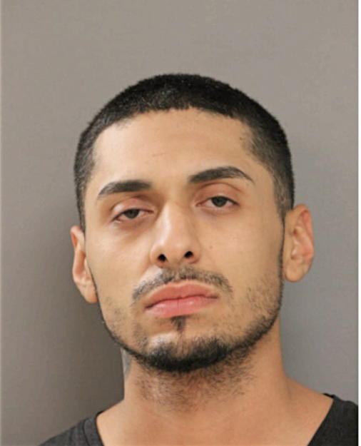 NICOLAS PANTOJA, Cook County, Illinois