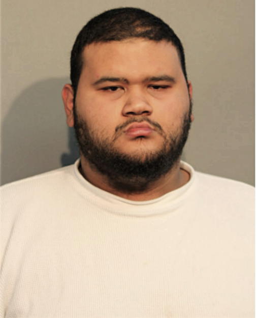 EDGARDO PEREZ, Cook County, Illinois