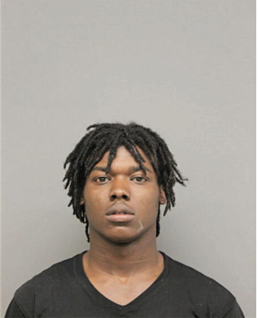 JONATHAN R REESE, Cook County, Illinois