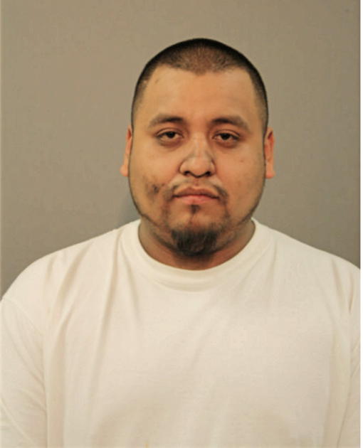VICTOR M REYES, Cook County, Illinois