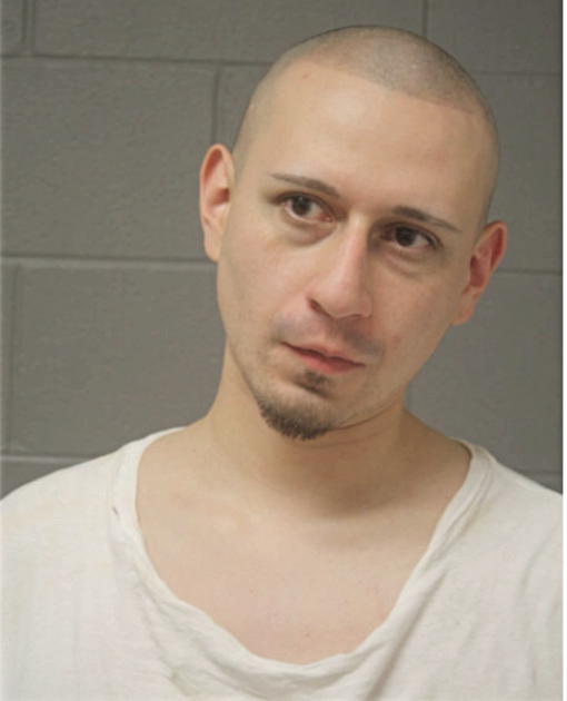 ANDRES ROCHEL, Cook County, Illinois