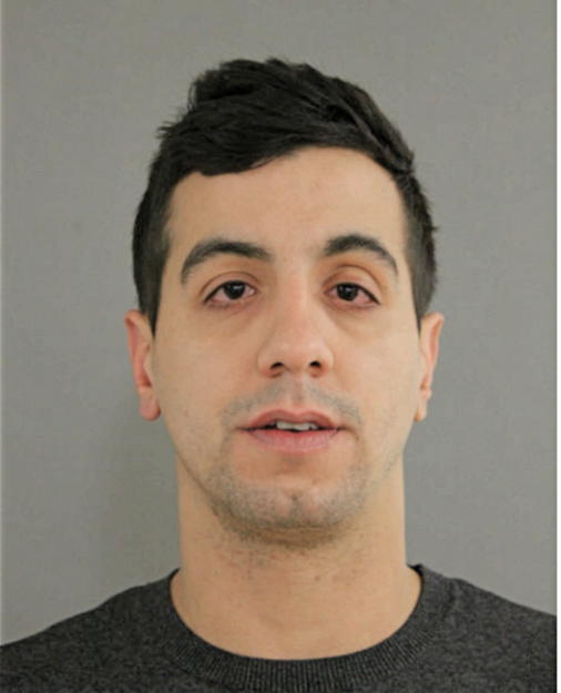 IAN N SANCHEZ, Cook County, Illinois