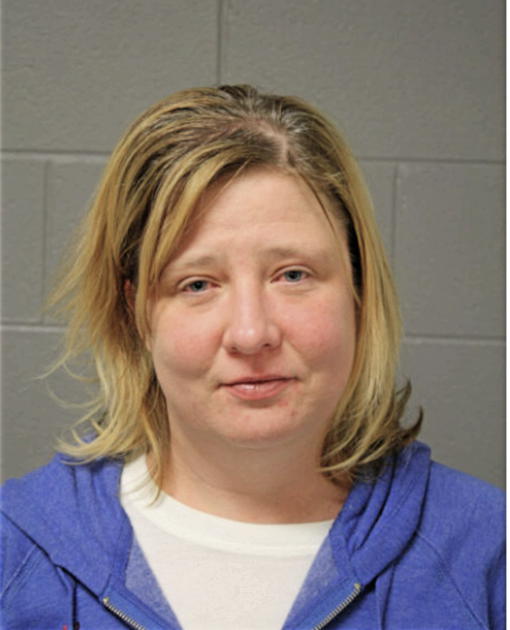 CHRISTY A STEC, Cook County, Illinois