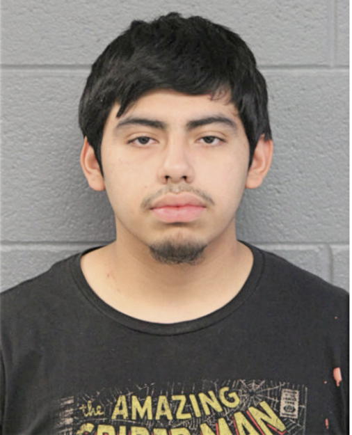 ISAIAS VARGARA, Cook County, Illinois