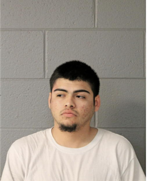 DANIEL P VEGA, Cook County, Illinois