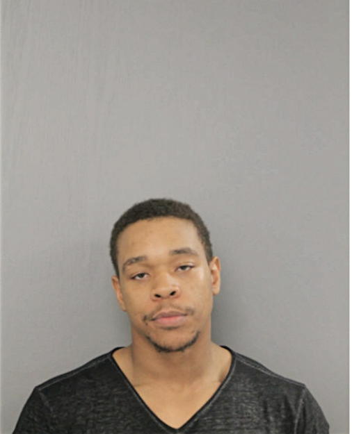 BRYAN X WILLIAMS, Cook County, Illinois
