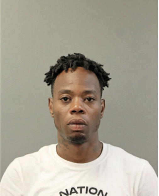 MICHAEL A WILLIAMS, Cook County, Illinois