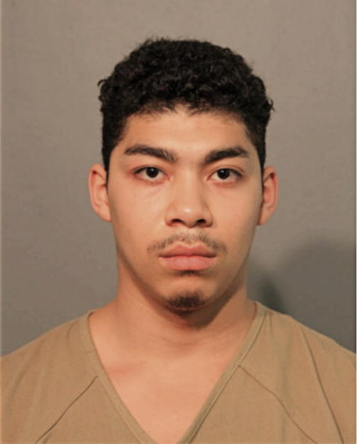 FERNELIS BIGELOW-LIGHTY, Cook County, Illinois