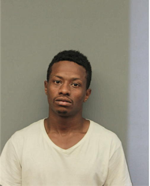 ANDREW BINION, Cook County, Illinois