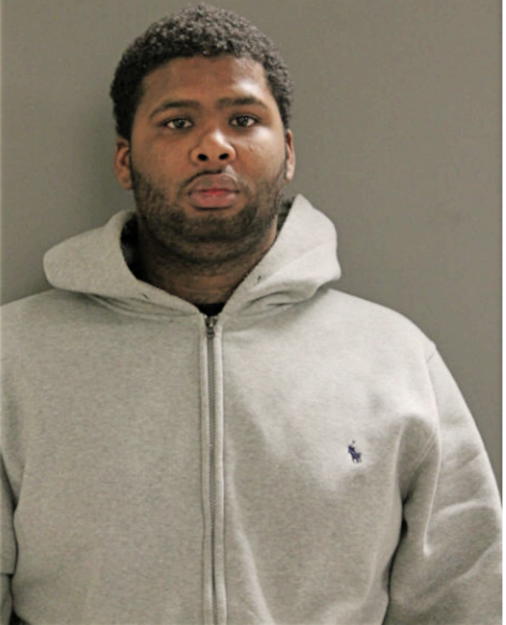 DAVID T BRADLEY, Cook County, Illinois