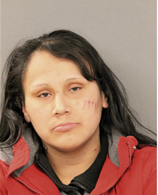 JESSE BROWN, Cook County, Illinois
