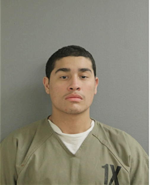 ENRIQUE D CARLO, Cook County, Illinois