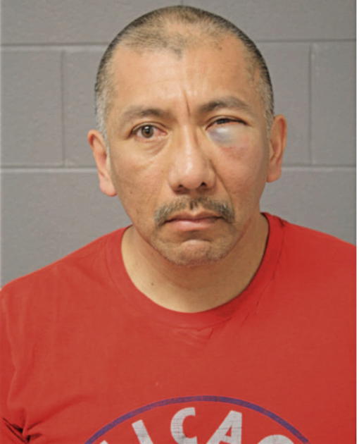 JAVIER CASTILLO, Cook County, Illinois